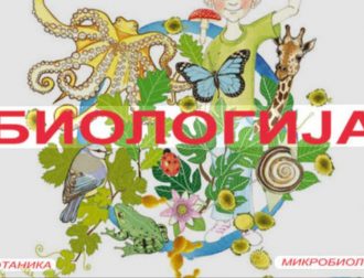 viber_image_2026-04-26_17-29-16-647